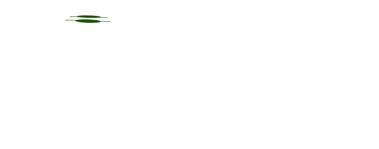 CEYHAN KEBAP EVİ